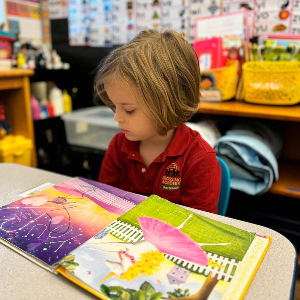 A young child sits quietly, concentrating on a colorful book, absorbed in the illustrations and story.