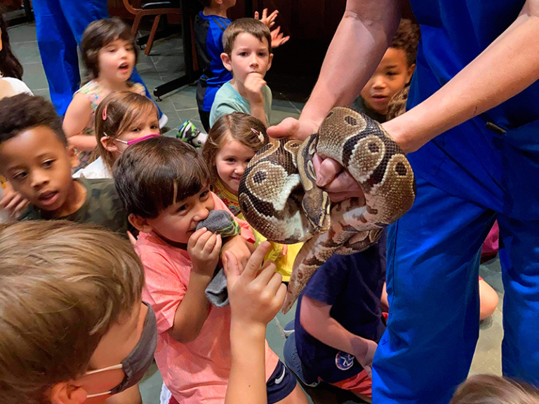 A group of excited children reaches out toward a snake held by an adult, showcasing a mix of curiosity and thrill.